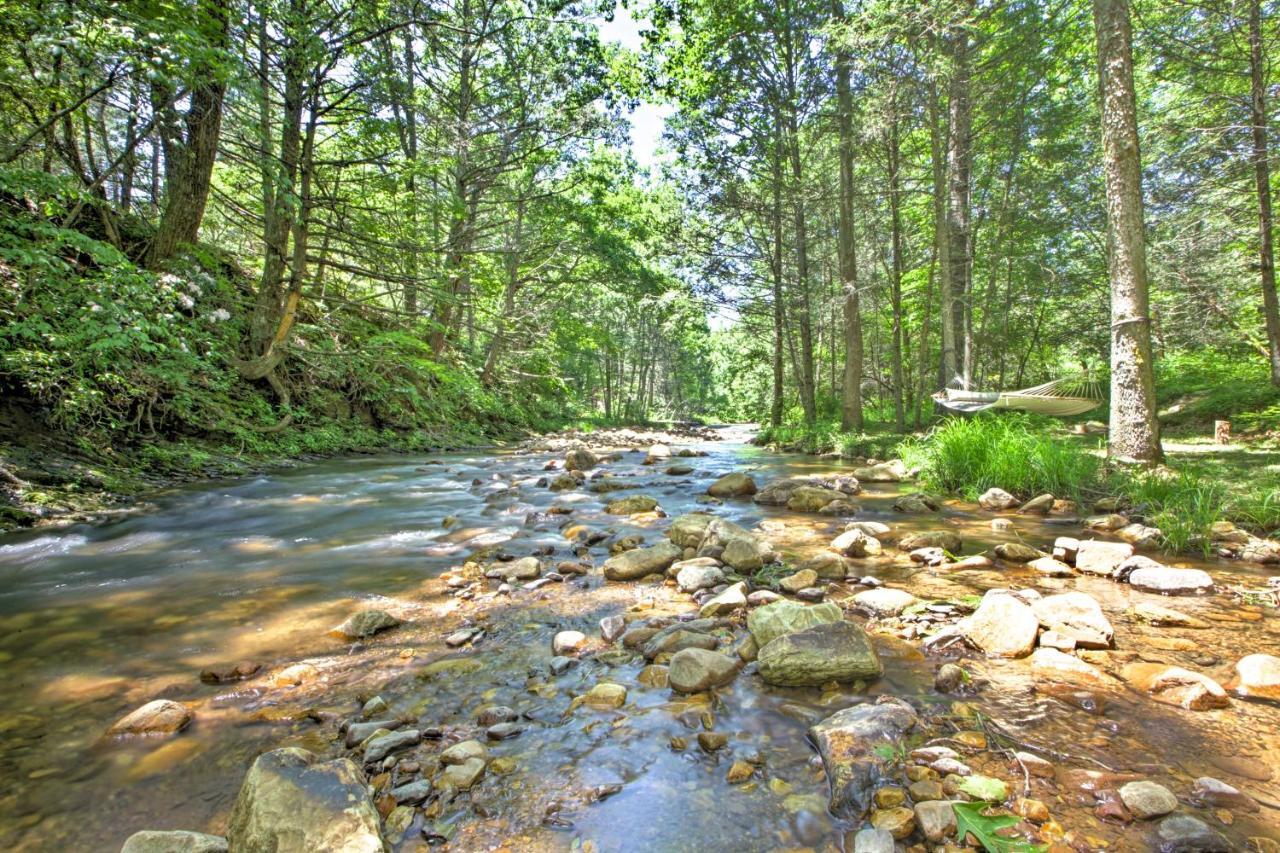 Clearwater Cabin On 10 Acres With Trout Stream! Monterey Exteriör bild